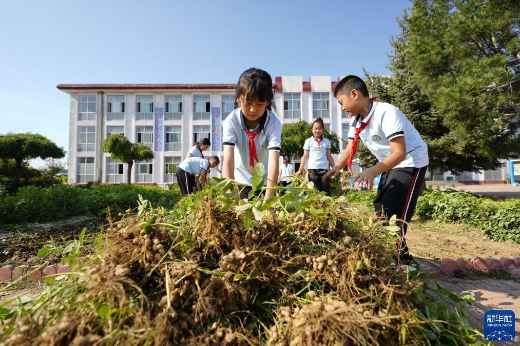 游贝棋牌游